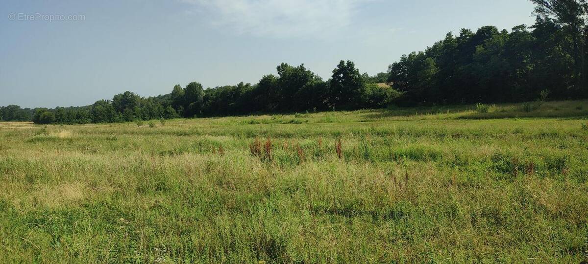 Photo 1 - Terrain à PARISOT