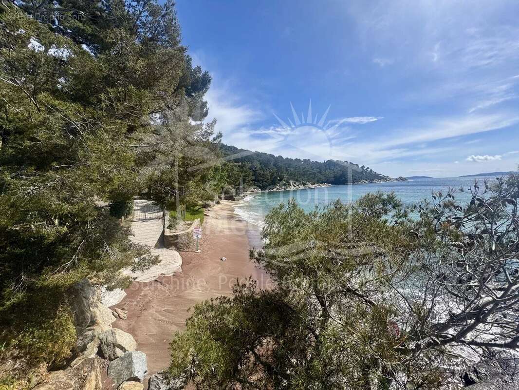 Maison à LE LAVANDOU