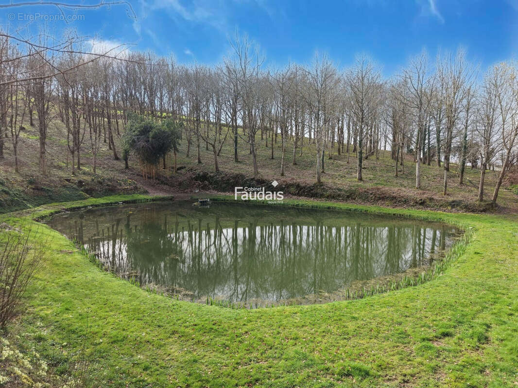Terrain 26500 m² à Montabot  - photo 2