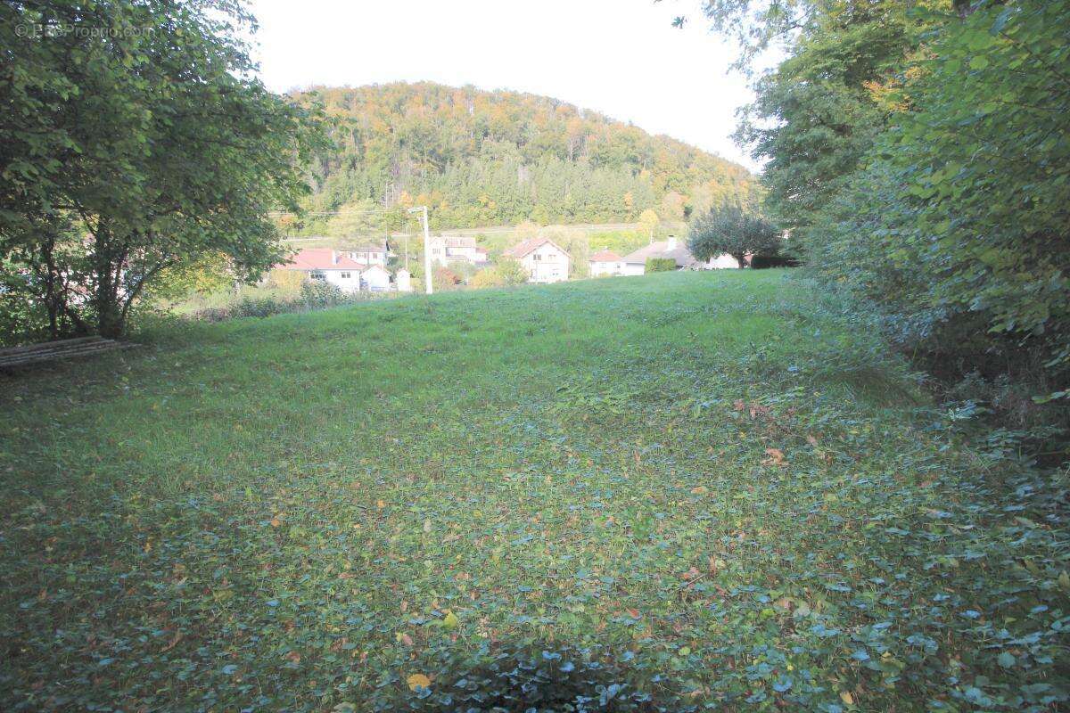 Maison à AUTECHAUX-ROIDE