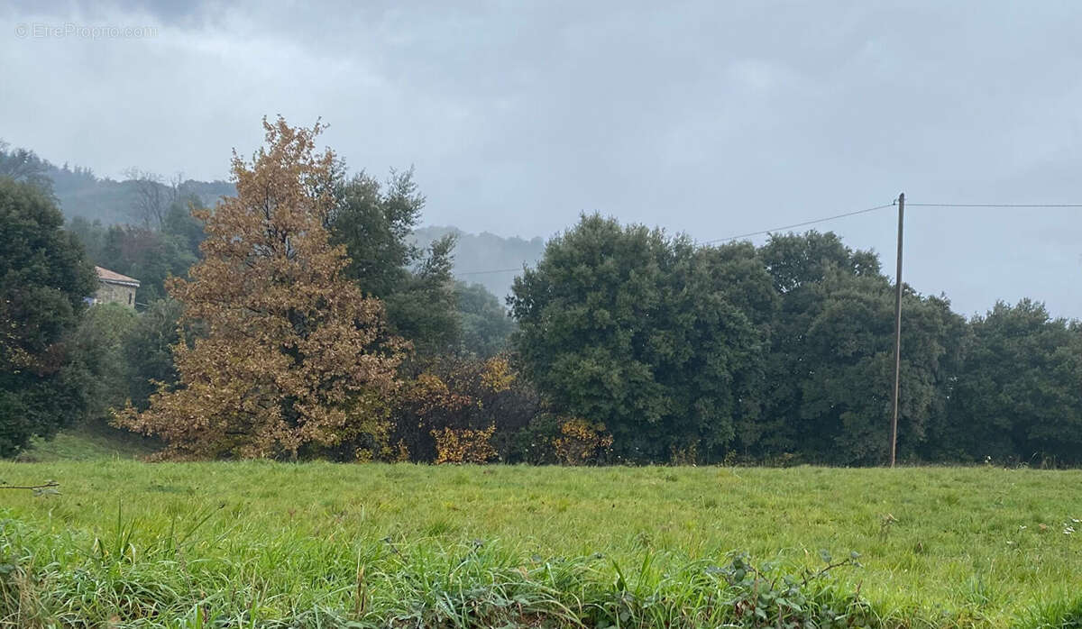 Terrain à SAINT-PERAY