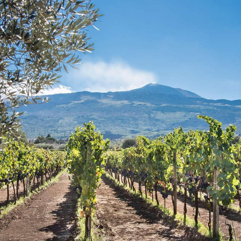 Terrain à PERPIGNAN