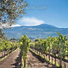 Terrain à PERPIGNAN