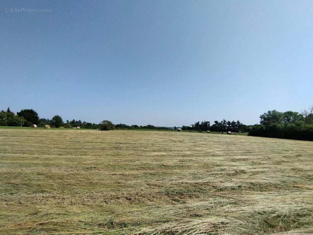 Terrain à CASTELNAU-MONTRATIER