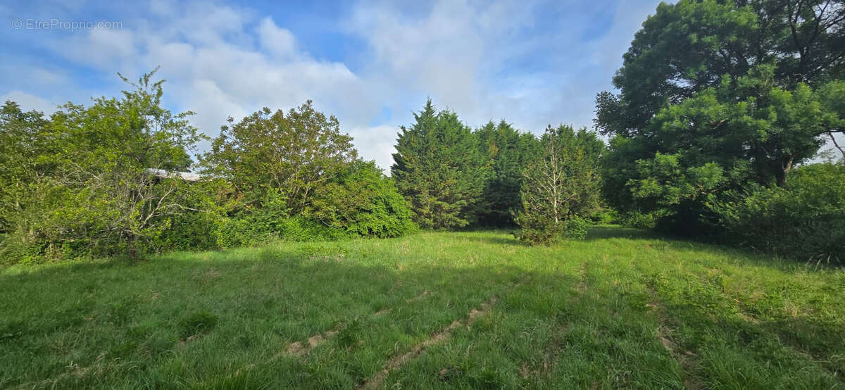 Terrain constructible 2 536 m2   Voulon, proche Vivonne - photo 2