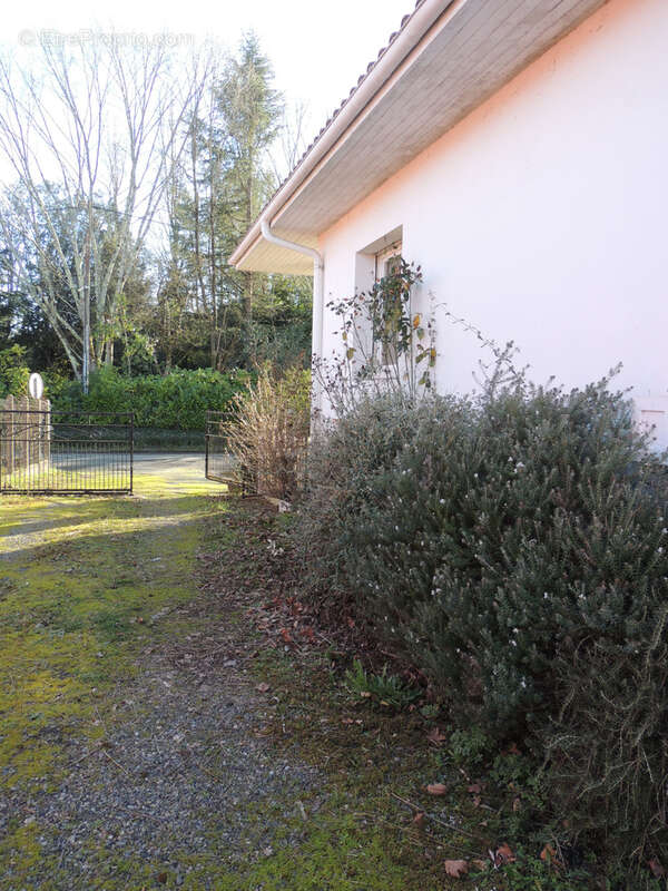 Maison à SALIES-DE-BEARN