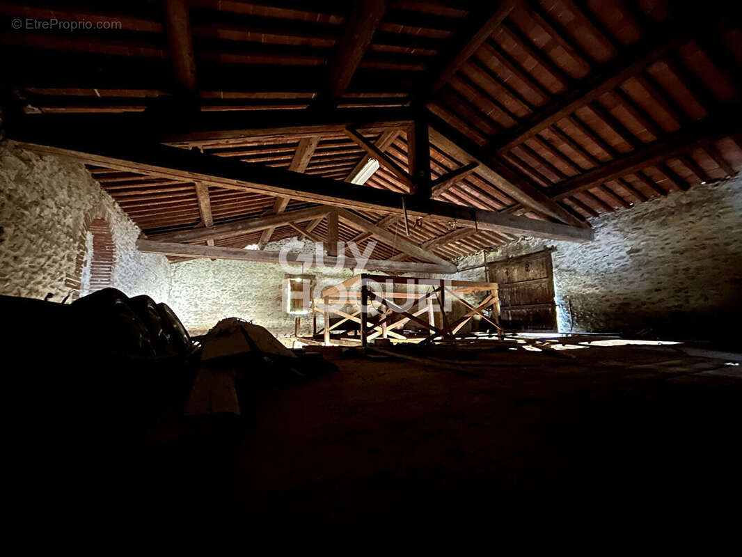 Commerce à VILLEMOLAQUE