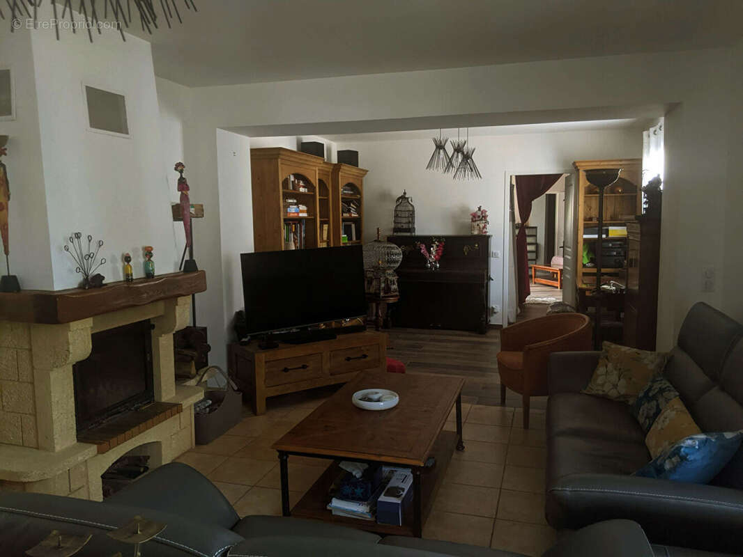 MOISSAC BELLEVUE superbe villa avec piscine sur 5800 m2 de terrain clos. - photo 8