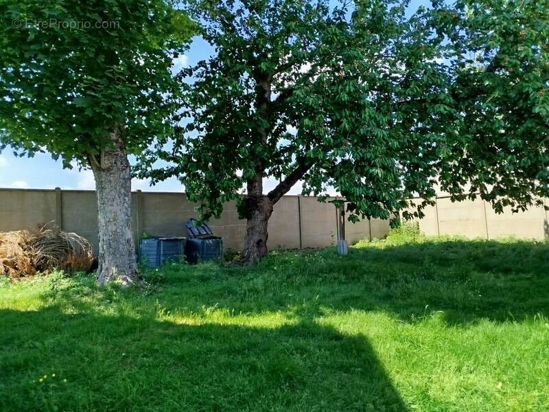 Maison à SANDARVILLE