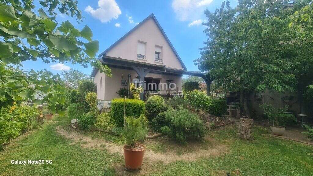 Maison à ROGGENHOUSE