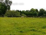 Terrain à SAINT-VALERY-EN-CAUX