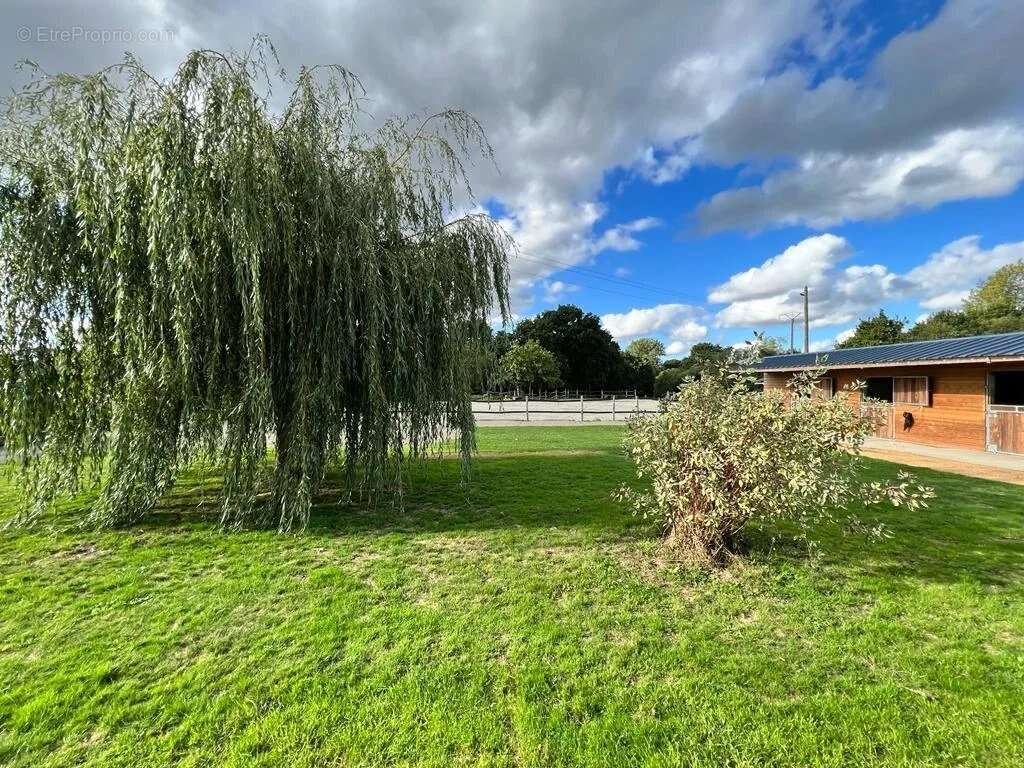 Maison à PLOUFRAGAN