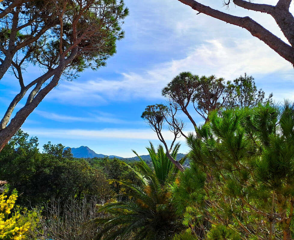 Maison à SAINT-RAPHAEL