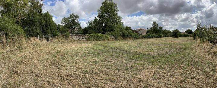 Terrain à CELLES-SUR-BELLE