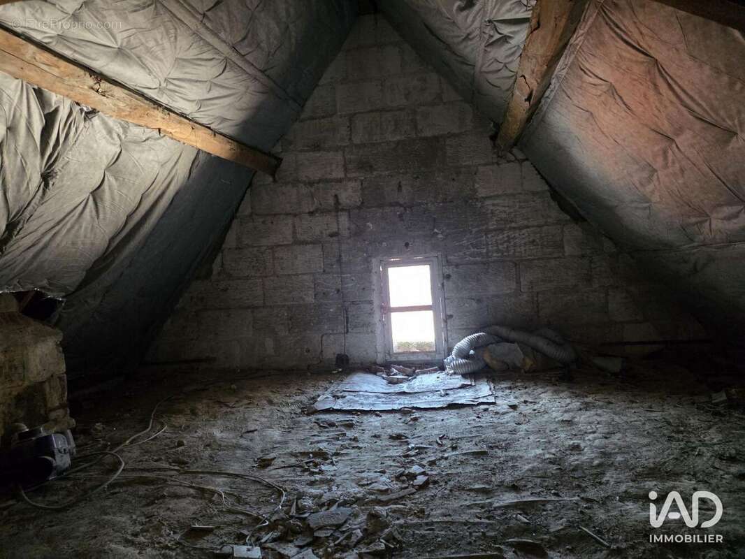 Photo 7 - Commerce à LOCHES