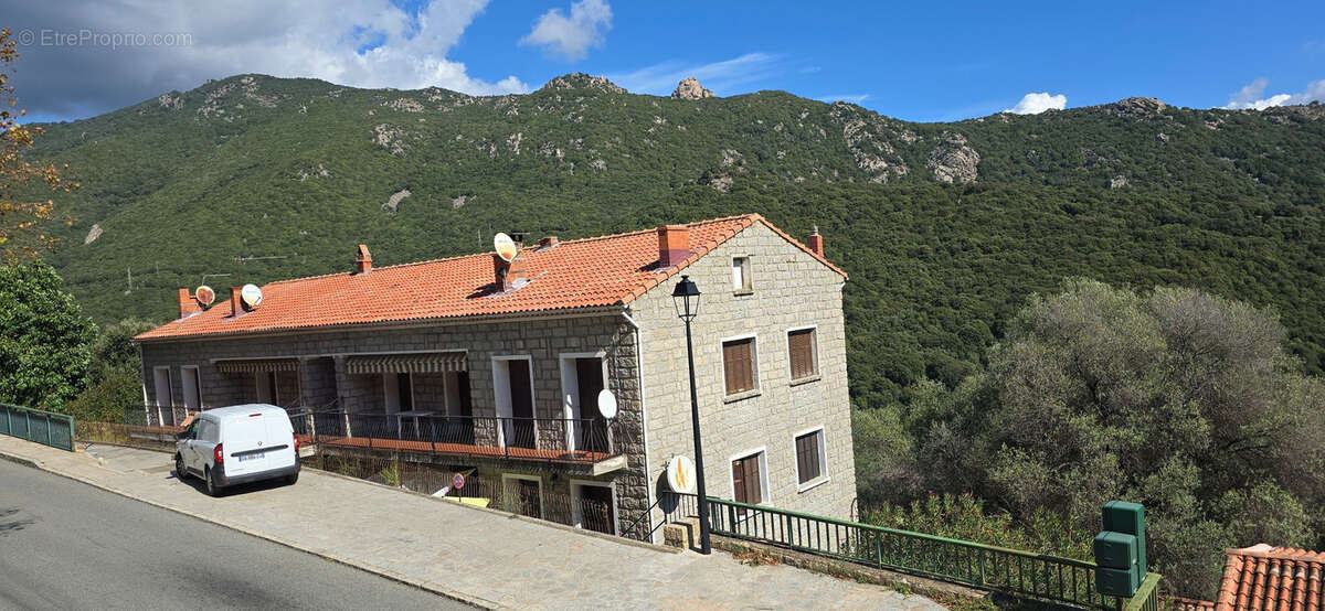 Appartement à OLMETO