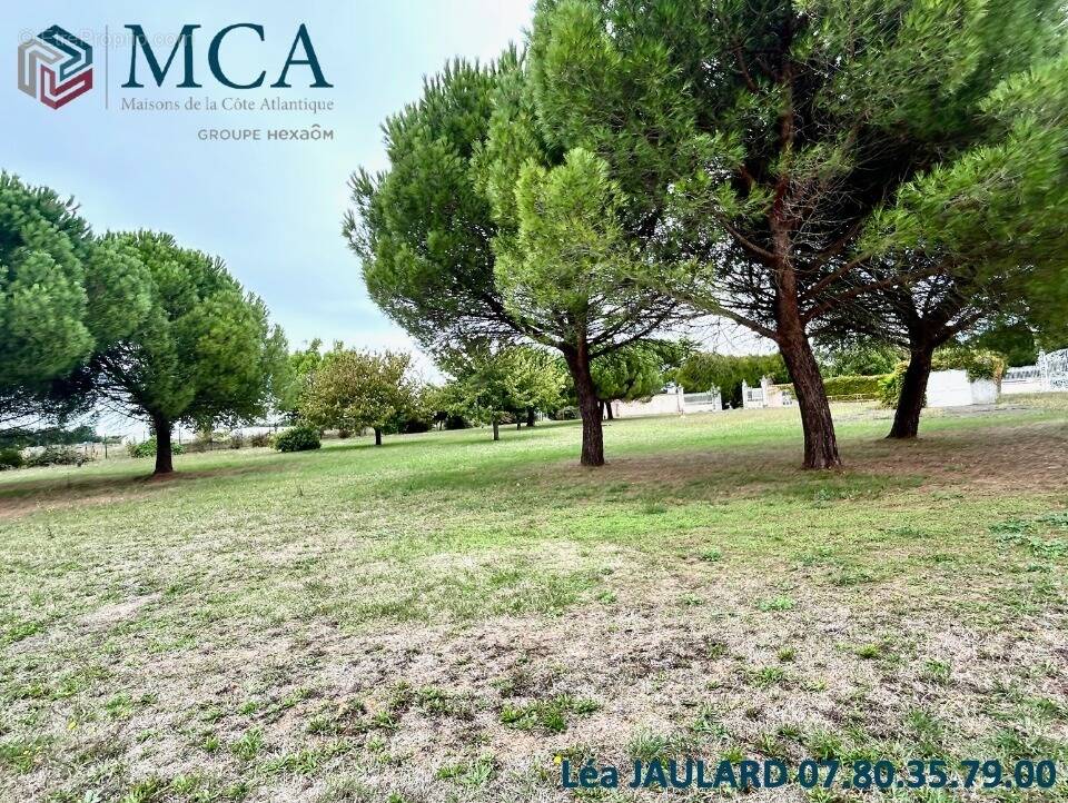 Terrain à SAINT-ROGATIEN