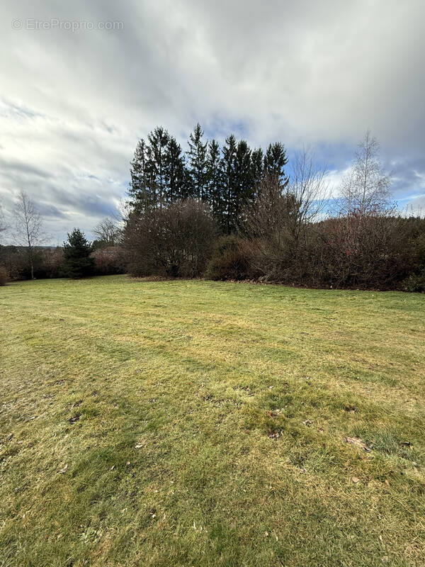 Terrain à SAINT-PAL-DE-MONS