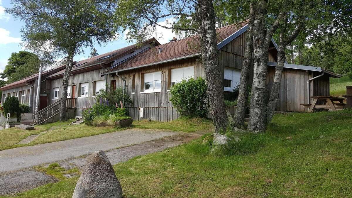 Commerce 546 m² à Gerardmer  - photo 2