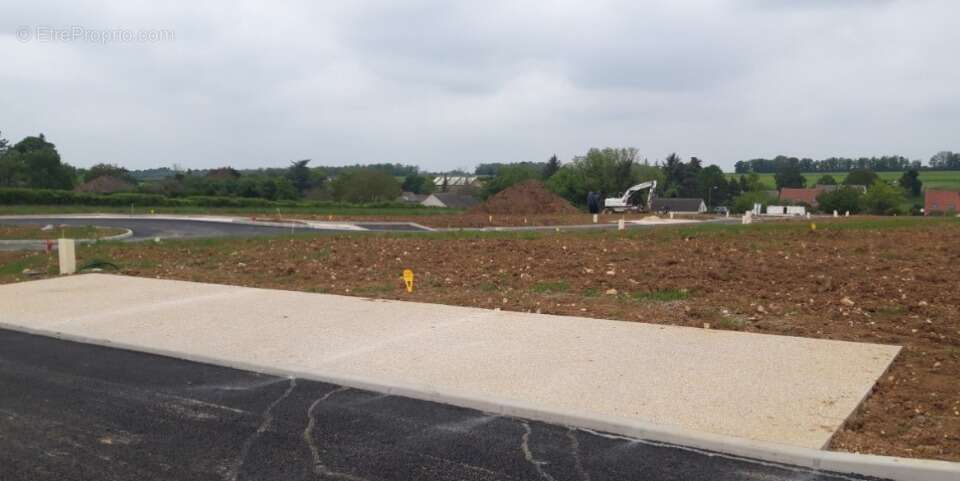 Terrain à CHAMPMOTTEUX