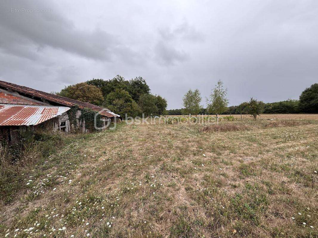 Maison en pierre 168m2 + Dépendances – Val-de-Bonnieure - photo 17