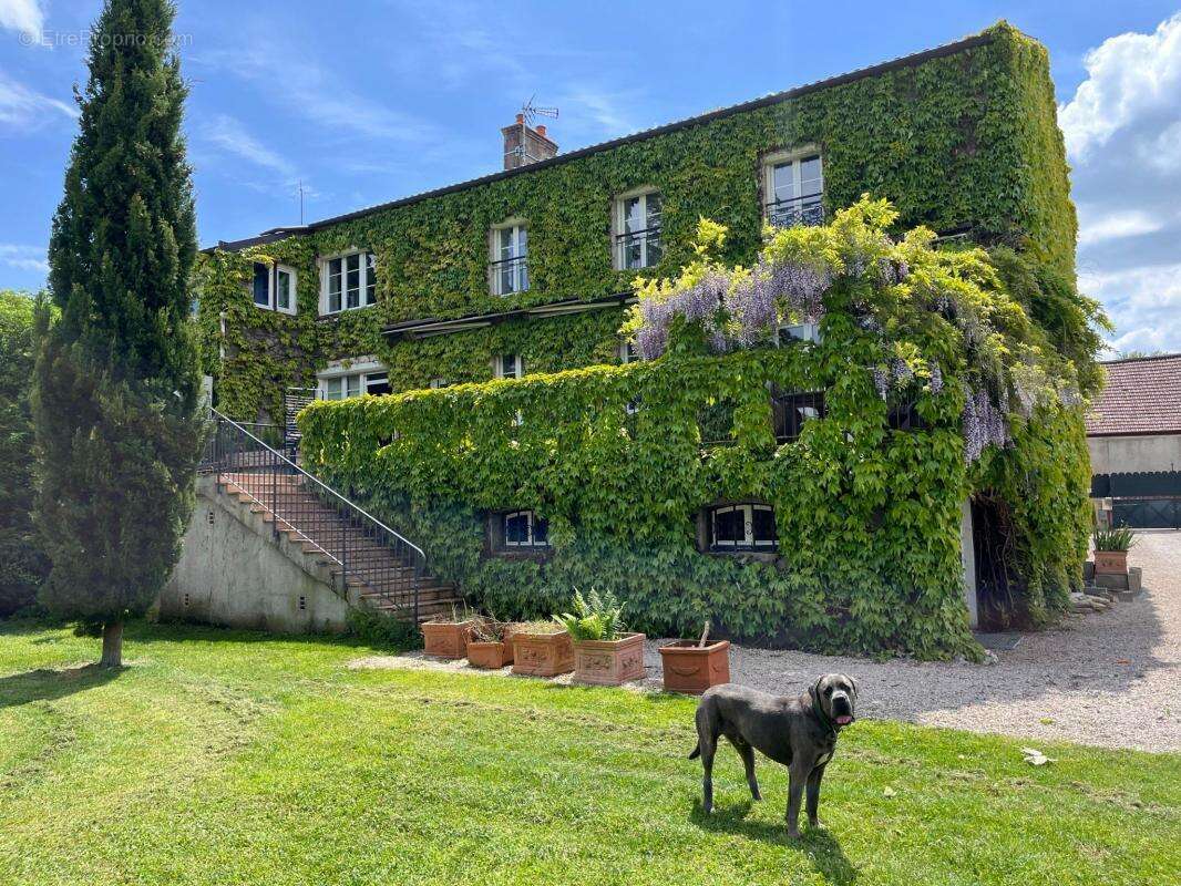 Dijon Est, Maison de caractère de 238 m², 4 chambres et terrain de 2857 m² - photo 31