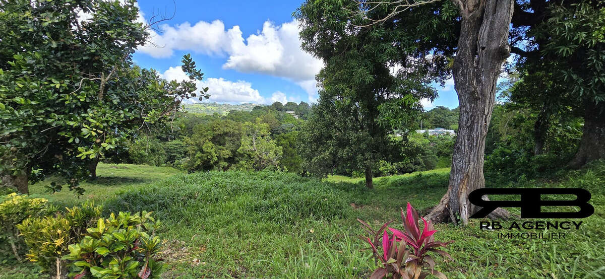 Terrain à LE ROBERT