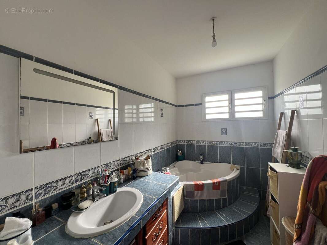 Maison à BRAS-PANON