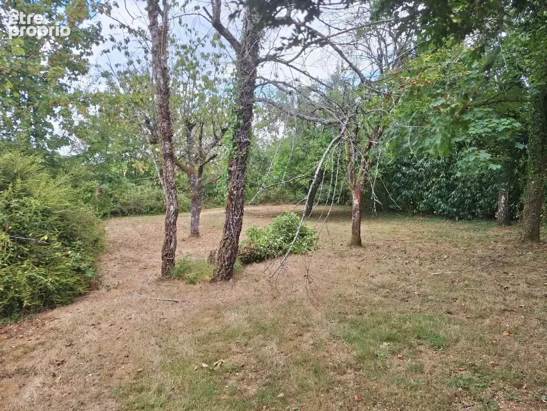 Maison À Vendre - photo 19