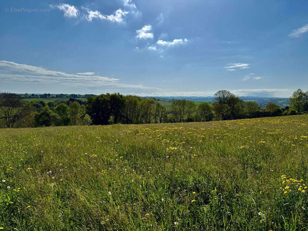 Terrain constructible 2100m2  - Sainte Juliette Sur Viaur - photo 2