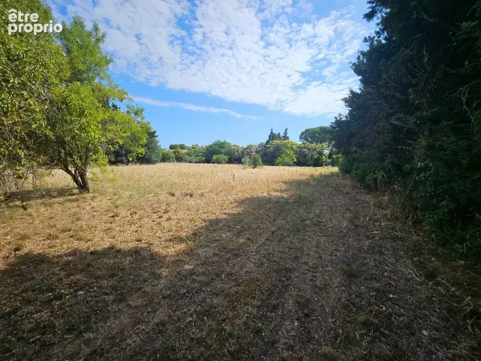 Terrain 370 m² à vendre à Fontvieille (13990) - photo 6
