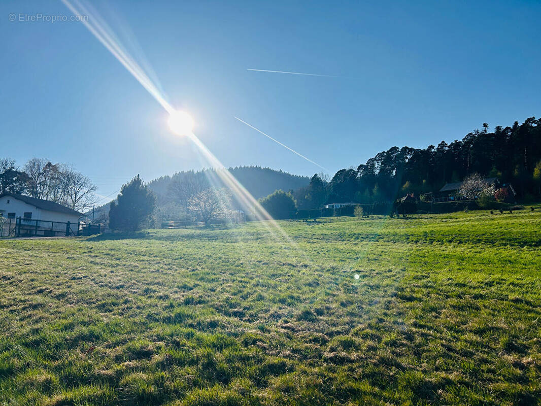 Terrain à SAINT-DIE-DES-VOSGES