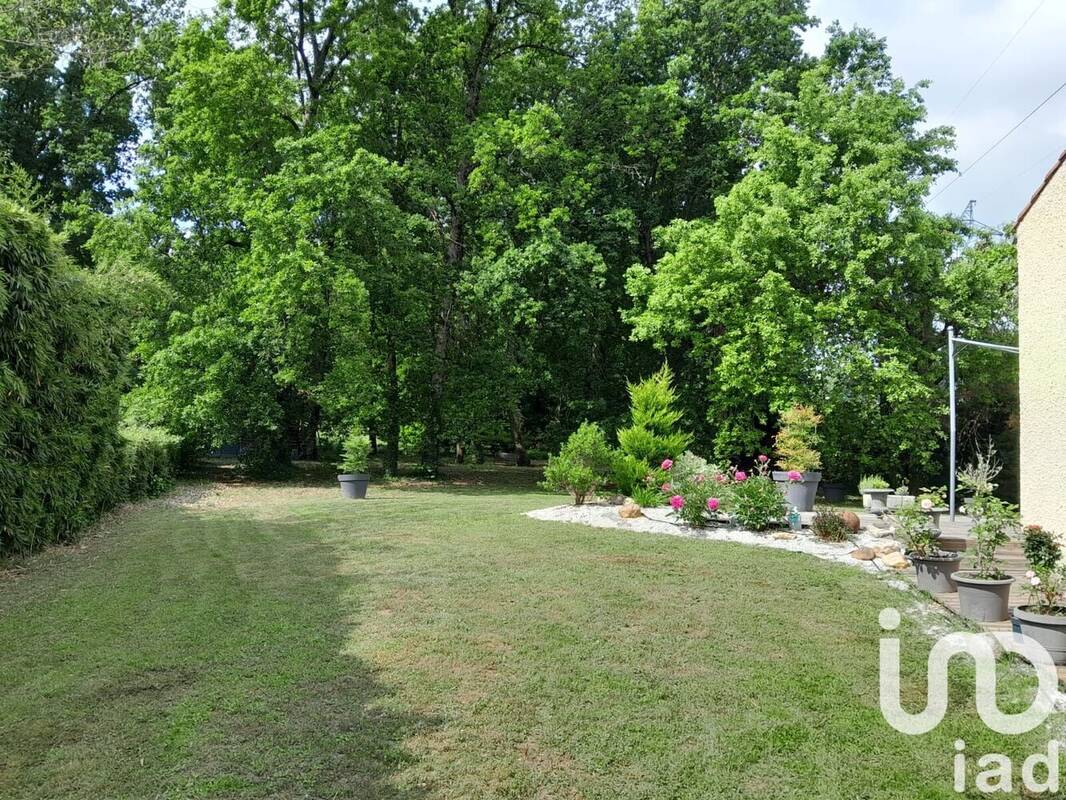 Photo 1 - Maison à MONTAUBAN