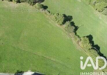 Photo 2 - Terrain à LASSEUBE