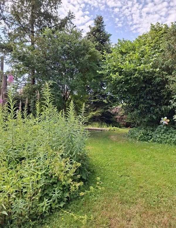 Vallee armance - photo 3