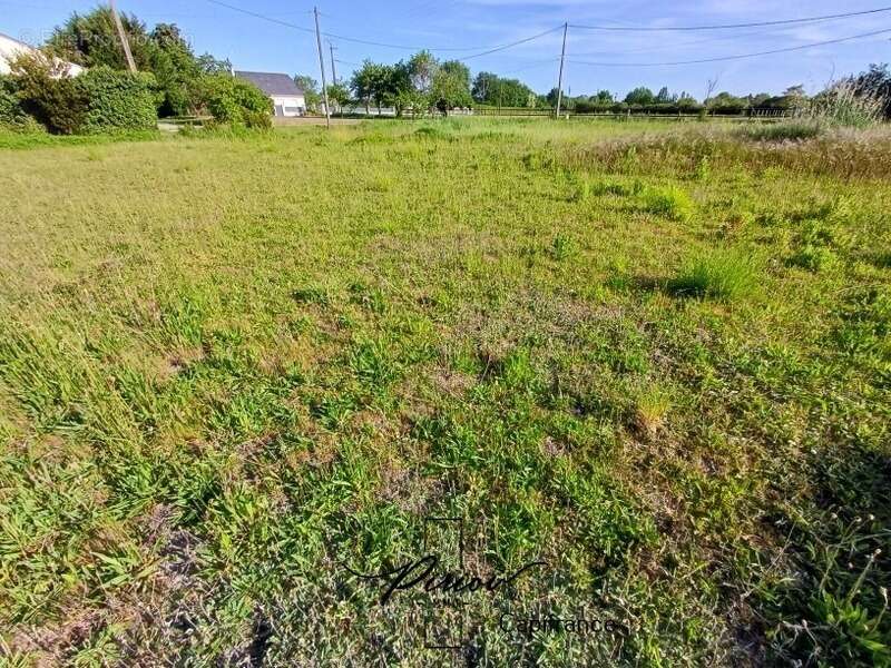 Maison à vendre 6 pièces - Dépendances - 4932 m² - photo 15