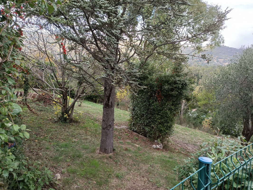 Maison à PEYMEINADE