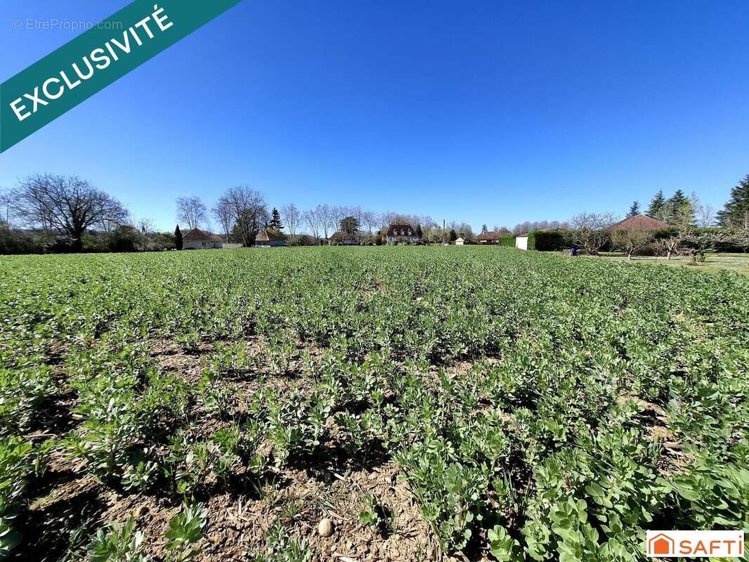 Photo 4 - Terrain à NAVARRENX