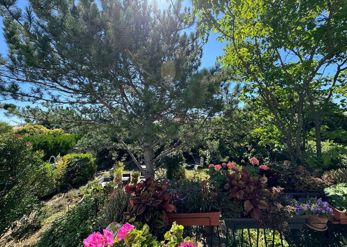 Maison à MARGUERITTES