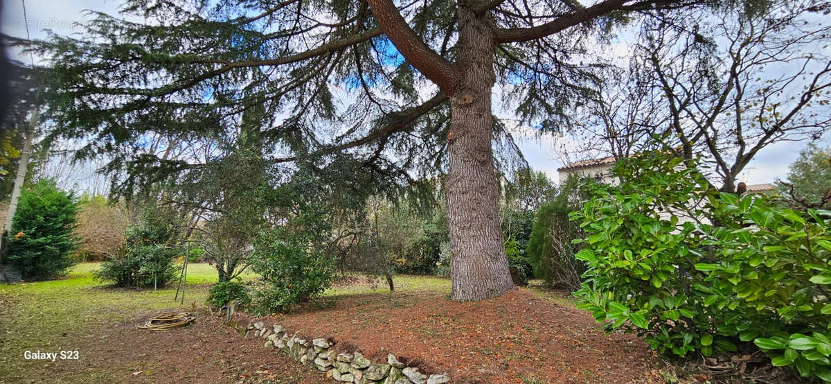 Terrain à SAINT-REMY-DE-PROVENCE