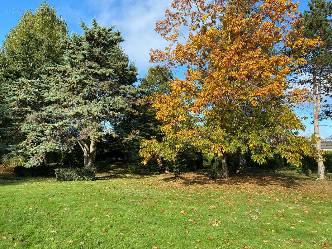 Maison à SAINT-CYR-SUR-LOIRE