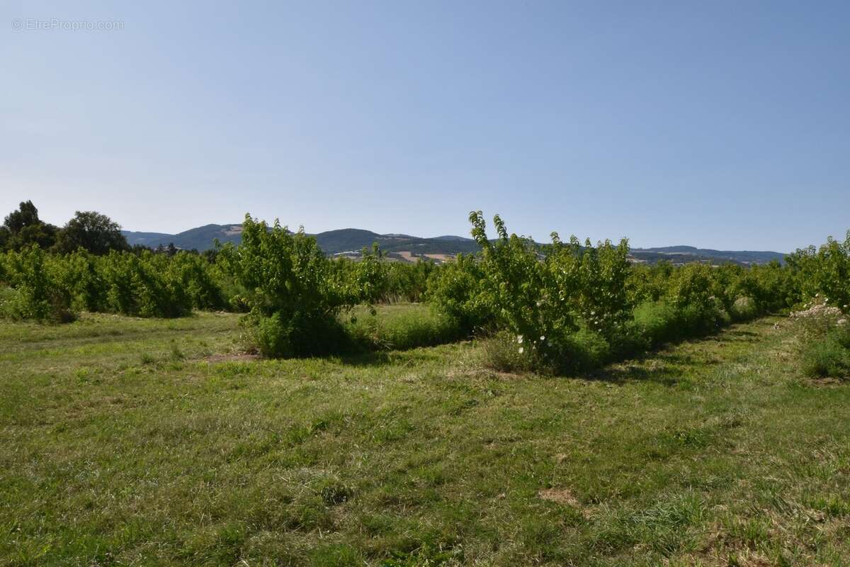 SOUCIEU-EN-JARREST – Un écrin de nature aux portes du village - photo 25
