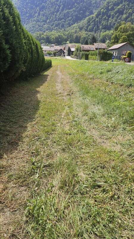 EXCLUSIVITÉ  Terrain constructible de 2 465 m² avec fort potentiel de construction - photo 6