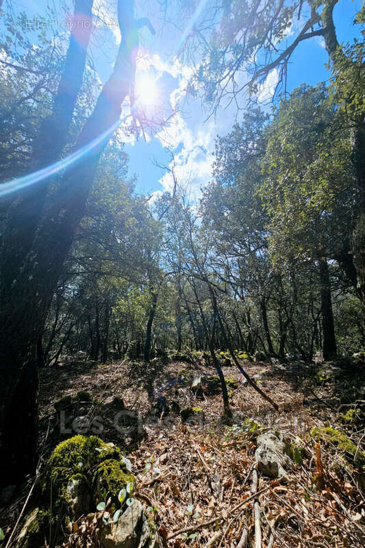 Terrain à CAMPS-LA-SOURCE
