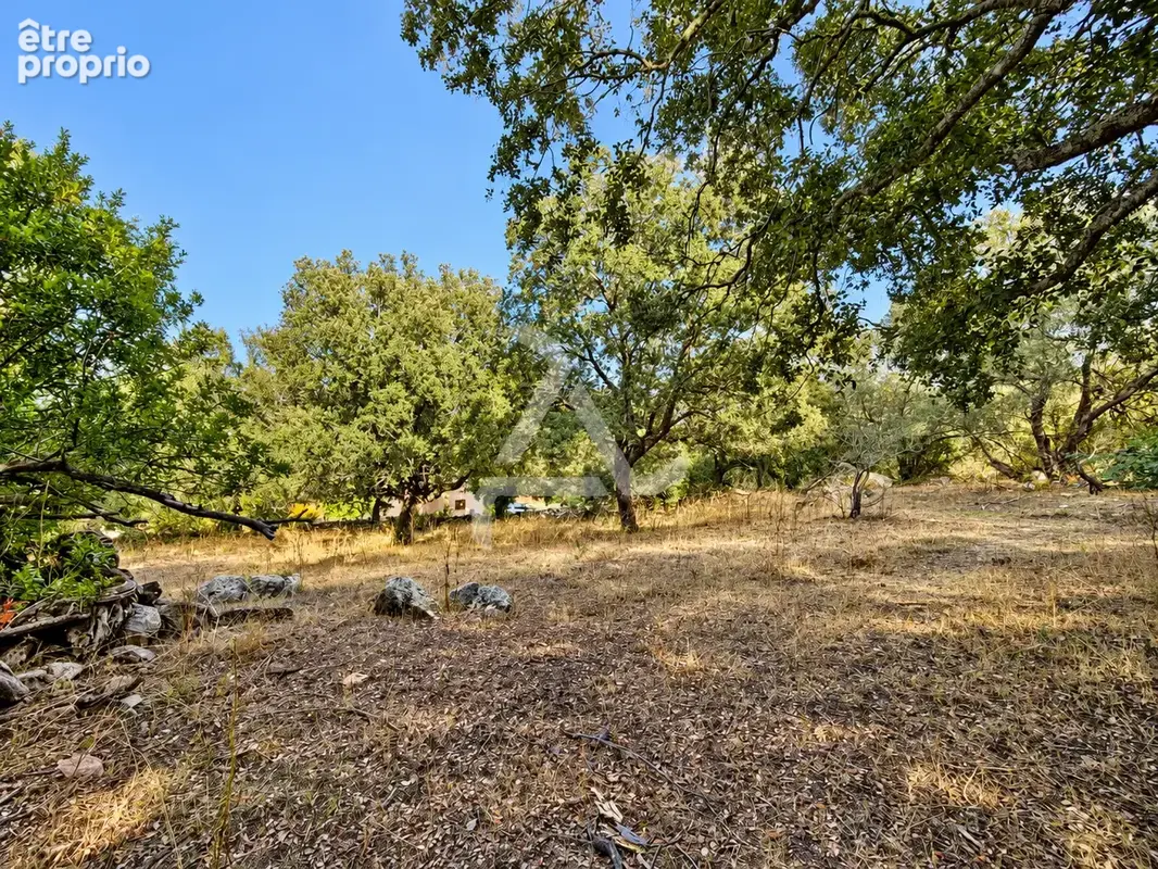 À seulement 3 min de porto-vecchio   terrain de 18 830 m2 avec pc purgé pour villa de 195 m2 avec piscine - photo 5