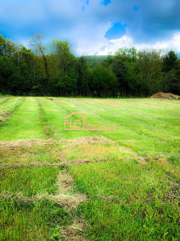 Terrain 977 m² à Murat-Sur-Vebre  - photo 2