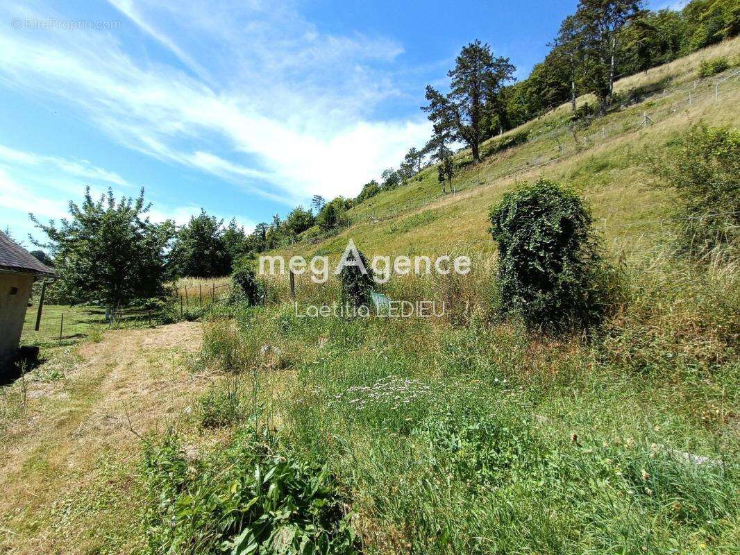 Maison de plain-pied – environ 57 m² habitables - photo 13