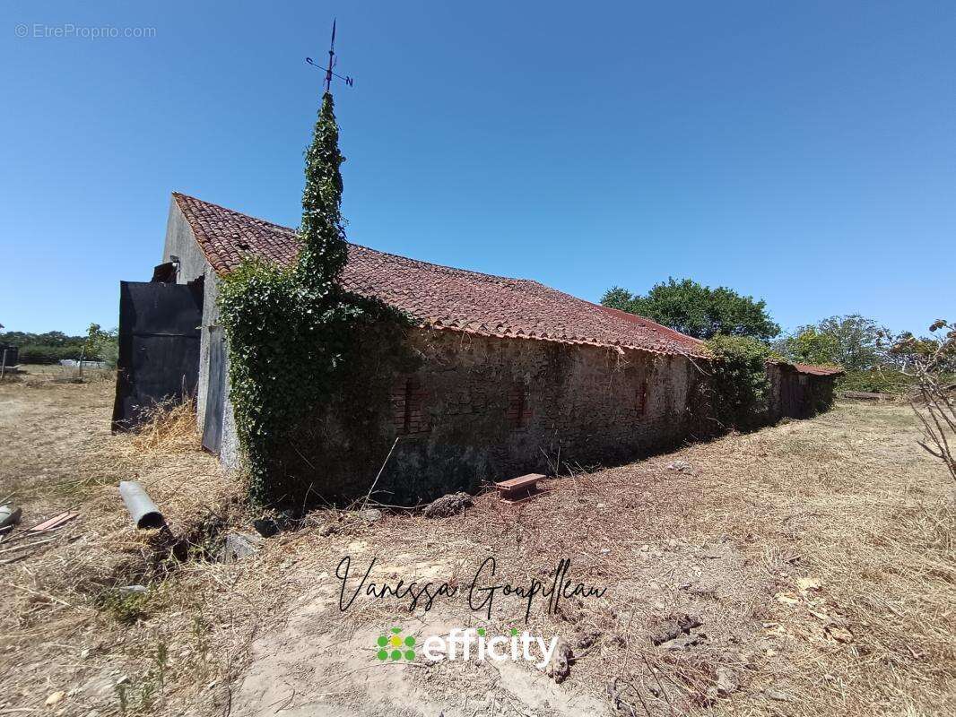 Maison 260 m² à Sainte-Flaive-Des-Loups  - photo 3