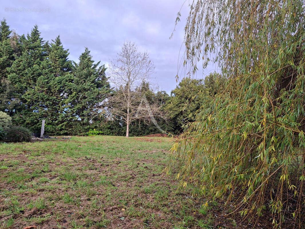 Maison à L&#039;ISLE-JOURDAIN