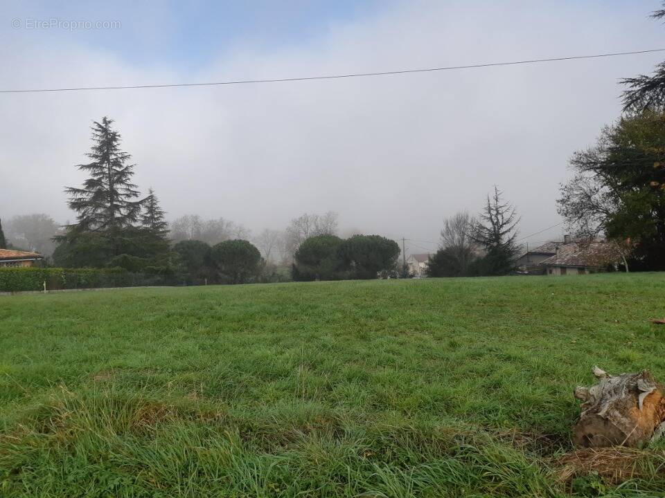 Terrain à SAINT-JEAN